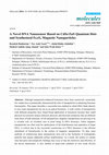 Research paper thumbnail of A Novel DNA Nanosensor Based on CdSe/ZnS Quantum Dots and Synthesized Fe3O4 Magnetic Nanoparticles 