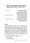 Research paper thumbnail of Análise dos determinantes da produção agropecuária do Rio Grande do Sul