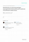 Research paper thumbnail of Identification of a bacterial pathogen associated with Porites white patch syndrome in the Western Indian Ocean.