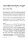 Research paper thumbnail of Reassessing the evidence for the cultivation of wild crops during the Younger Dryas at Tell Abu Hureyra, Syria