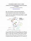 Research paper thumbnail of Petroquímica en América Latina