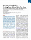 Research paper thumbnail of Singularity in Polarization: Rewiring Yeast Cells to Make Two Buds