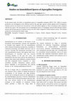 Research paper thumbnail of Studies on Immobilized Spores of Aspergillus Fumigatus