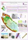 Research paper thumbnail of Jaafar Jotheri - “Baguette levee” features in the Mesopotamian floodplain: a new term in river geomorphology