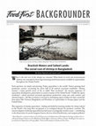 Research paper thumbnail of Brackish Waters and Salted Lands: The social cost of shrimp in Bangladesh