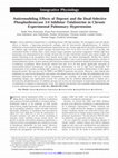 Research paper thumbnail of Antiremodeling Effects of Iloprost and the Dual-Selective Phosphodiesterase 3/4 Inhibitor Tolafentrine in Chronic Experimental Pulmonary Hypertension