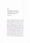 Research paper thumbnail of Picturing High Water:  The 2013 Floods in Southeastern Germany and Colorado (Excerpt from Extreme Weather and Global Media by J. Leyda and D. Negra; 2015)