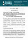 Research paper thumbnail of Análise da competitividade das exportações brasileiras de suco de laranja: 1989-2011