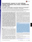 Research paper thumbnail of Neuromolecular responses to social challenge: Common mechanisms across mouse, stickleback fish, and honey bee