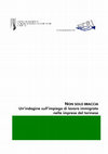 Research paper thumbnail of NON SOLO BRACCIA Un’indagine sull’impiego di lavoro immigrato nelle imprese del torinese