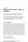 Research paper thumbnail of Raman spectroscopic studies of obsidian