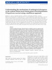 Research paper thumbnail of Understanding the mechanisms of anti-tropical divergence in the seabird White-faced Storm-petrel (Procellariiformes: Pelagodroma marina ) using a multi-locus approach