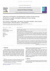 Research paper thumbnail of Laboratory investigation and phylogenetic analysis of enteroviruses involved in an aseptic meningitis outbreak in Greece during the summer of 2007