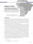 Research paper thumbnail of Media Piracy in Emerging Economies, Chapter 5: Brazil