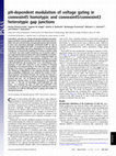 Research paper thumbnail of pH-dependent modulation of voltage gating in connexin45 homotypic and connexin45/connexin43 heterotypic gap junctions