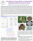 Research paper thumbnail of First Report of Gray Mold on Crepe Myrtle Caused by Botrytis cinerea in Korea