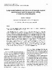 Research paper thumbnail of Large scale bedforms as indicators of mutually evasive sand transport and the sequential infilling of wide-mouthed estuaries