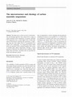 Research paper thumbnail of The microstructure and rheology of carbon nanotube suspensions