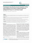 Research paper thumbnail of Histological and ultrastructural evaluation of the early healing of the lateral collateral ligament epiligament tissue in a rat knee model