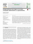 Research paper thumbnail of Energy production from biogas in the Italian countryside: Modernization vs. repeasantization