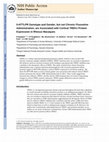 Research paper thumbnail of 5-HTTLPR genotype and gender, but not chronic fluoxetine administration, are associated with cortical TREK1 protein expression in rhesus macaques