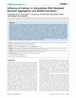 Research paper thumbnail of Influence of Calcium in Extracellular DNA Mediated Bacterial Aggregation and Biofilm Formation