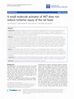 Research paper thumbnail of A small molecule activator of AKT does not reduce ischemic injury of the rat heart