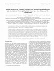 Research paper thumbnail of Cejudo-Figueiras C, Morales EA, Wetzel CE, Blanco S, Hoffmann L, Ector L 2010. Analysis of the type of Fragilaria construens var. subsalina (Bacillariophyceae) and description of two morphologically related taxa from Europe and the United States. Phycologia 50: 67-77