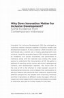 Research paper thumbnail of Why Does Innovation Matter for Inclusive Development? Some Evidence from Contemporary Indonesia