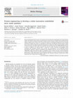 Research paper thumbnail of Protein engineering to develop a redox insensitive endothelial nitric oxide synthase