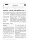 Research paper thumbnail of Molecular Determinants for the Interaction of Human Neutrophil α Defensin 1 with its Propeptide