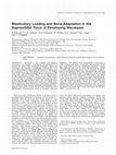 Research paper thumbnail of Masticatory loading and bone adaptation in the supraorbital torus of developing macaques