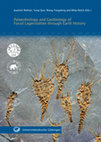 Research paper thumbnail of Mesozoic non-rigid hexactinellid sponges – a rarity or overlooked? Known and new fossils from the Late Cretaceous of Northern Germany and Denmark