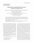 Research paper thumbnail of Strigolactones are transported from roots to shoots, although not through the xylem