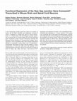 Research paper thumbnail of Functional expression of the new gap junction gene connexin47 transcribed in mouse brain and spinal cord neurons