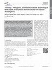 Research paper thumbnail of Twinning-, Polytypism-, and Polarity-Induced Morphological Modulation in Nonplanar Nanostructures with van der Waals Epitaxy