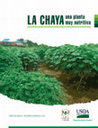 Research paper thumbnail of La Chaya (Cnidoscolus aconitifolius), una planta muy nutritiva