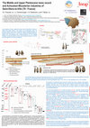 Research paper thumbnail of The Middle and Upper Pleistocene loess record and Acheulean-Mousterian industries of Saint-Illiers-la-Ville (78 - France)