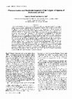 Research paper thumbnail of Characterization and Nucleotide Sequence of the Cardiac α-Myosin Heavy Chain Gene from Syrian Hamster