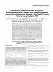 Research paper thumbnail of Identification ofPseudomonas aeruginosa,Burkholderia cepacia complex, andStenotrophomonas maltophilia in respiratory samples from cystic fibrosis patients using multiplex PCR