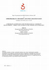 Research paper thumbnail of Corporate Governance and Technological Capability Development: Three Case Studies in the Chinese Auto Industry