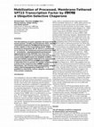 Research paper thumbnail of Mobilization of Processed, Membrane-Tethered SPT23 Transcription Factor by CDC48UFD1/NPL4, a Ubiquitin-Selective Chaperone