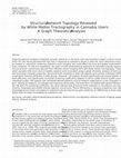 Research paper thumbnail of Structural network topology revealed by white matter tractography in cannabis users: a graph theoretical analysis