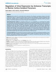 Research paper thumbnail of Regulation of Emx2 Expression by Antisense Transcripts in Murine Cortico-Cerebral Precursors