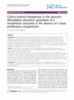 Research paper thumbnail of Cortico-cerebral histogenesis in the opossum Monodelphis domestica: generation of a hexalaminar neocortex in the absence of a basal proliferative compartment