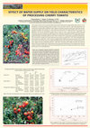 Research paper thumbnail of EFFECT OF WATER SUPPLAY ON YIELD CHARACTERISTICS OF PROCESSING CHERRY TOMATO POSTER