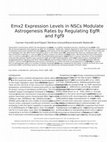 Research paper thumbnail of Emx2 expression levels in NSCs modulate astrogenesis rates by regulating E gf R and F gf9