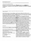 Research paper thumbnail of Genetic structuring and gene flow in Cerastoderma glaucum (Bivalvia: Cardiidae): evidence from allozyme variation at different geographic scales