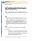 Research paper thumbnail of Circadian Clock Genes of Goldfish, Carassius auratus: cDNA Cloning and Rhythmic Expression of Period and Cryptochrome Transcripts in Retina, Liver, and Gut