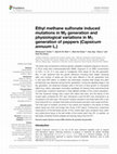 Research paper thumbnail of Ethyl methane sulfonate induced mutations in M 2 generation and physiological variations in M 1 generation of peppers (Capsicum annuum L